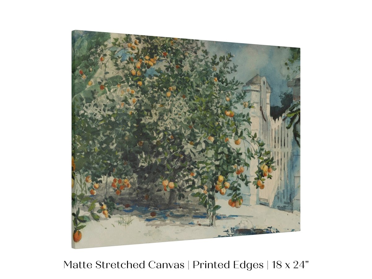 Orange Trees and Gate | P441 - Single Art Prints - Piccolo Fiore Prints