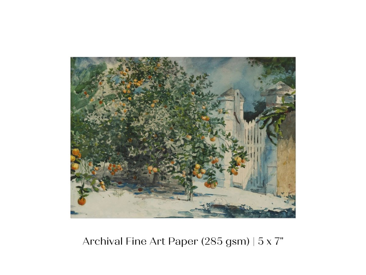 Orange Trees and Gate | P441 - Single Art Prints - Piccolo Fiore Prints
