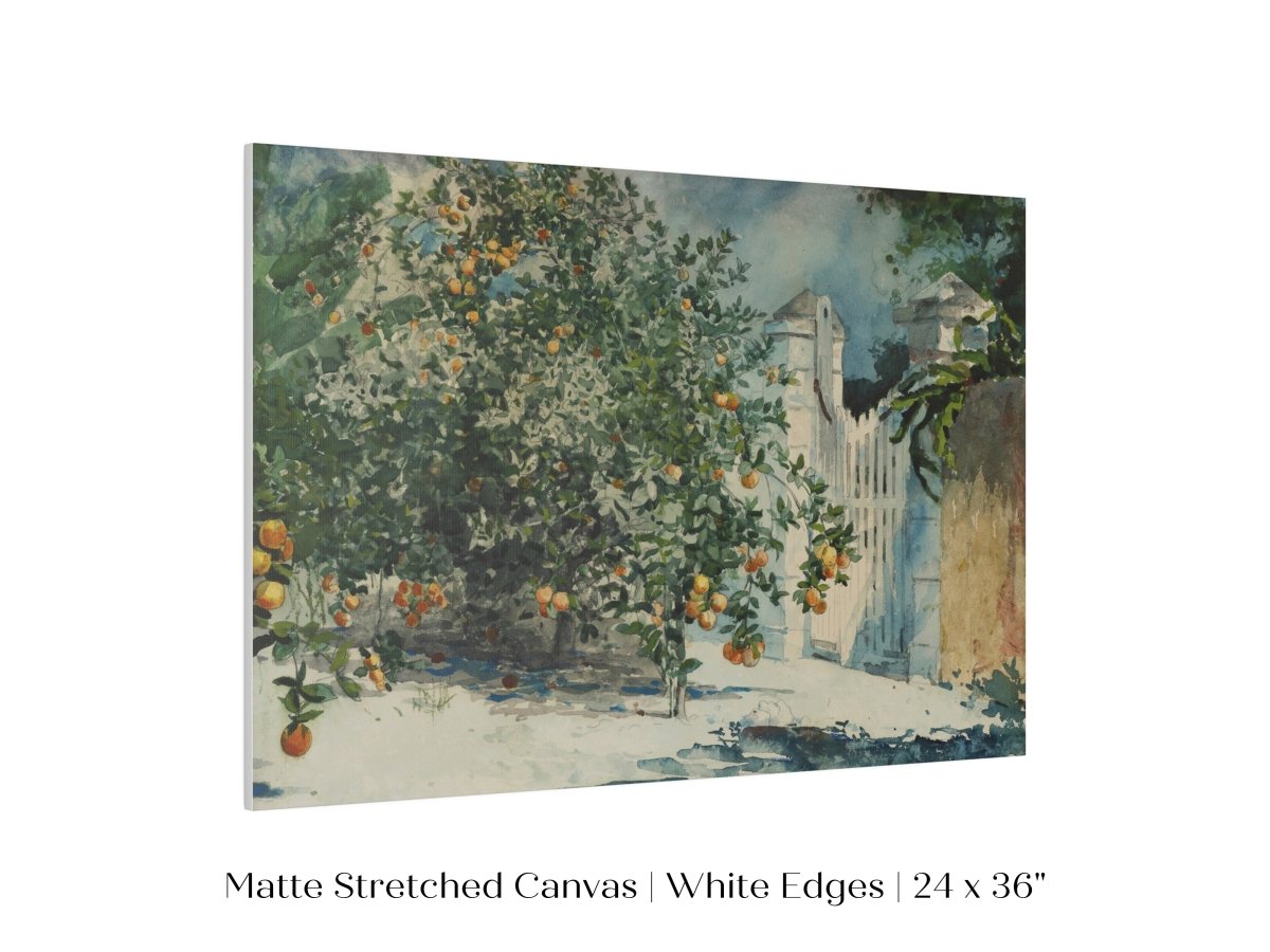 Orange Trees and Gate | P441 - Single Art Prints - Piccolo Fiore Prints
