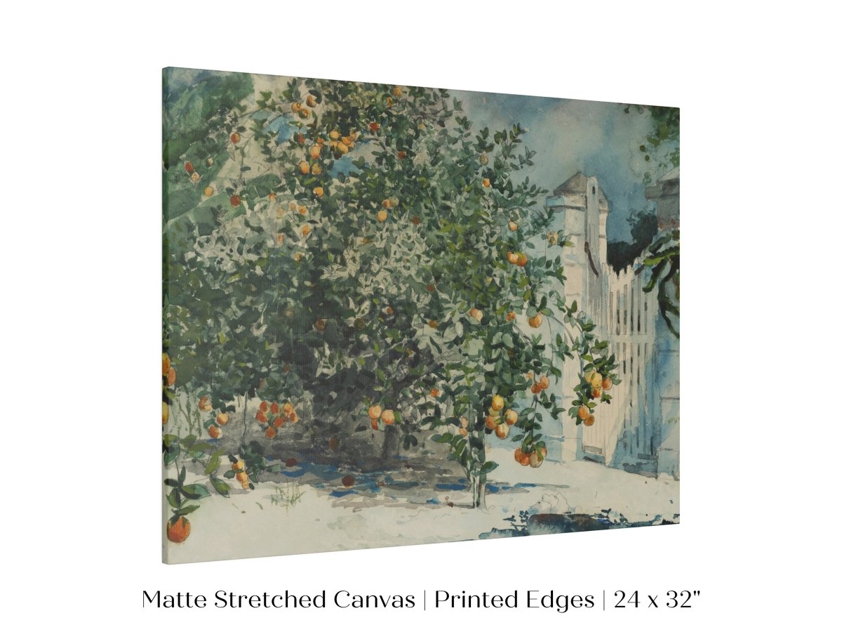 Orange Trees and Gate | P441 - Single Art Prints - Piccolo Fiore Prints