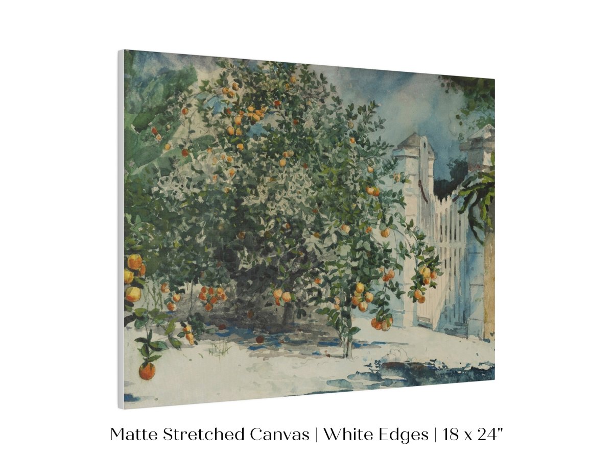 Orange Trees and Gate | P441 - Single Art Prints - Piccolo Fiore Prints
