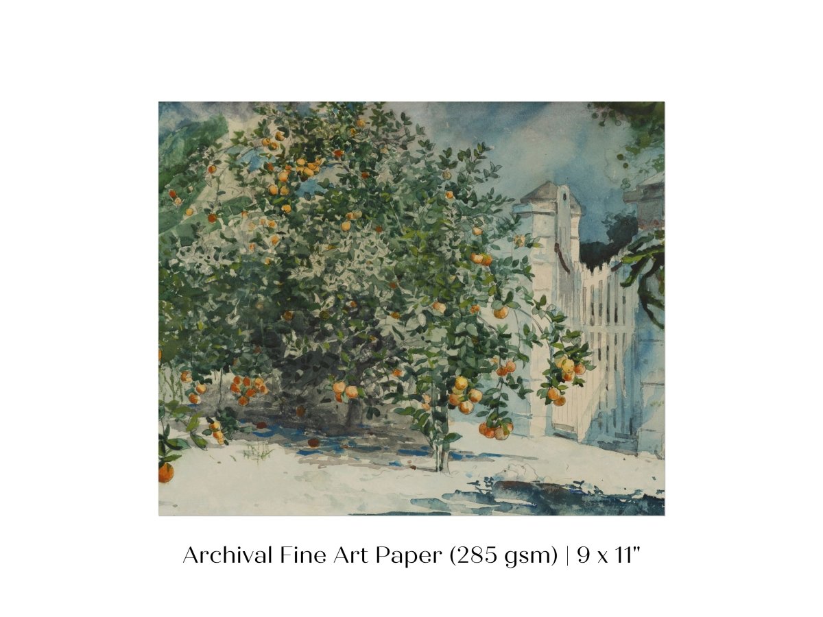 Orange Trees and Gate | P441 - Single Art Prints - Piccolo Fiore Prints