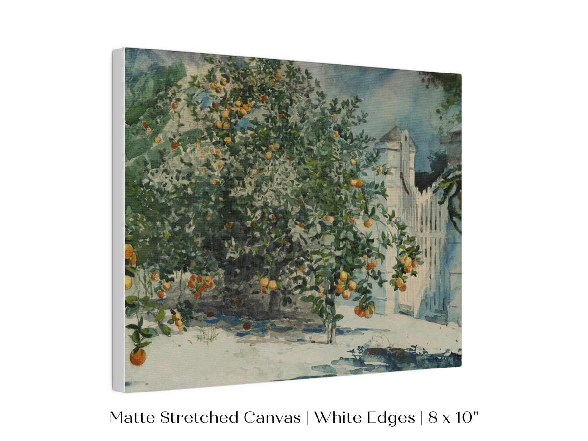 Orange Trees and Gate | P441 - Single Art Prints - Piccolo Fiore Prints