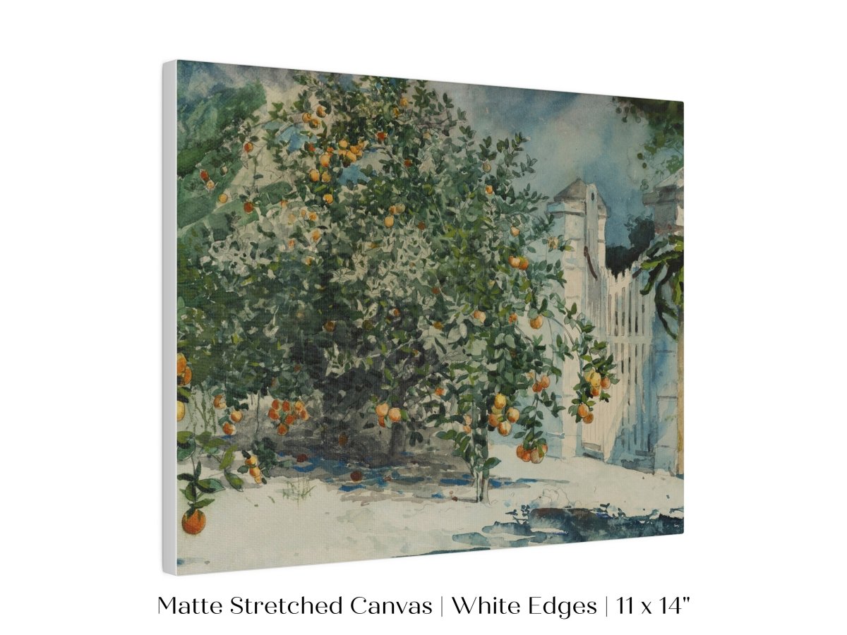 Orange Trees and Gate | P441 - Single Art Prints - Piccolo Fiore Prints