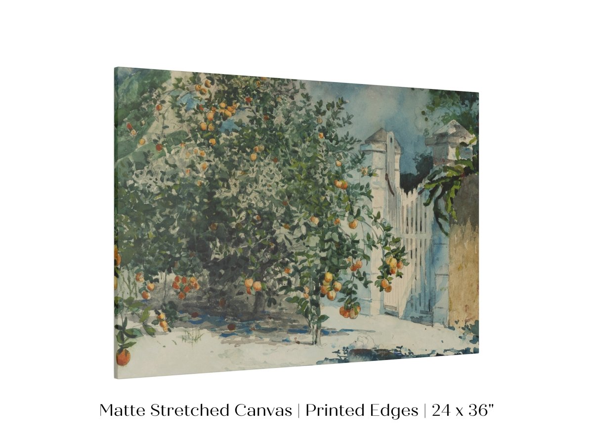 Orange Trees and Gate | P441 - Single Art Prints - Piccolo Fiore Prints