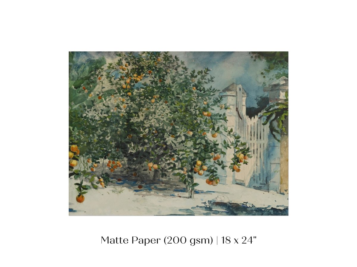 Orange Trees and Gate | P441 - Single Art Prints - Piccolo Fiore Prints