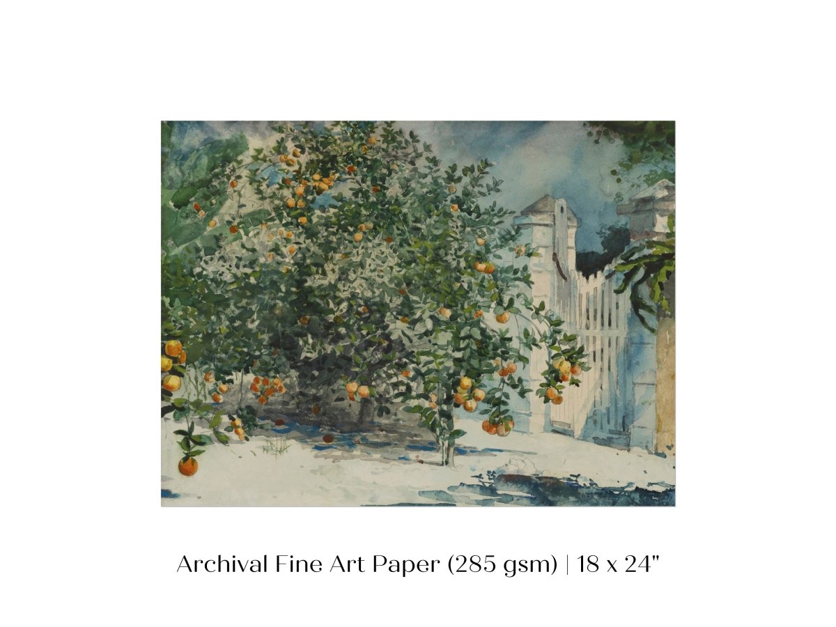 Orange Trees and Gate | P441 - Single Art Prints - Piccolo Fiore Prints