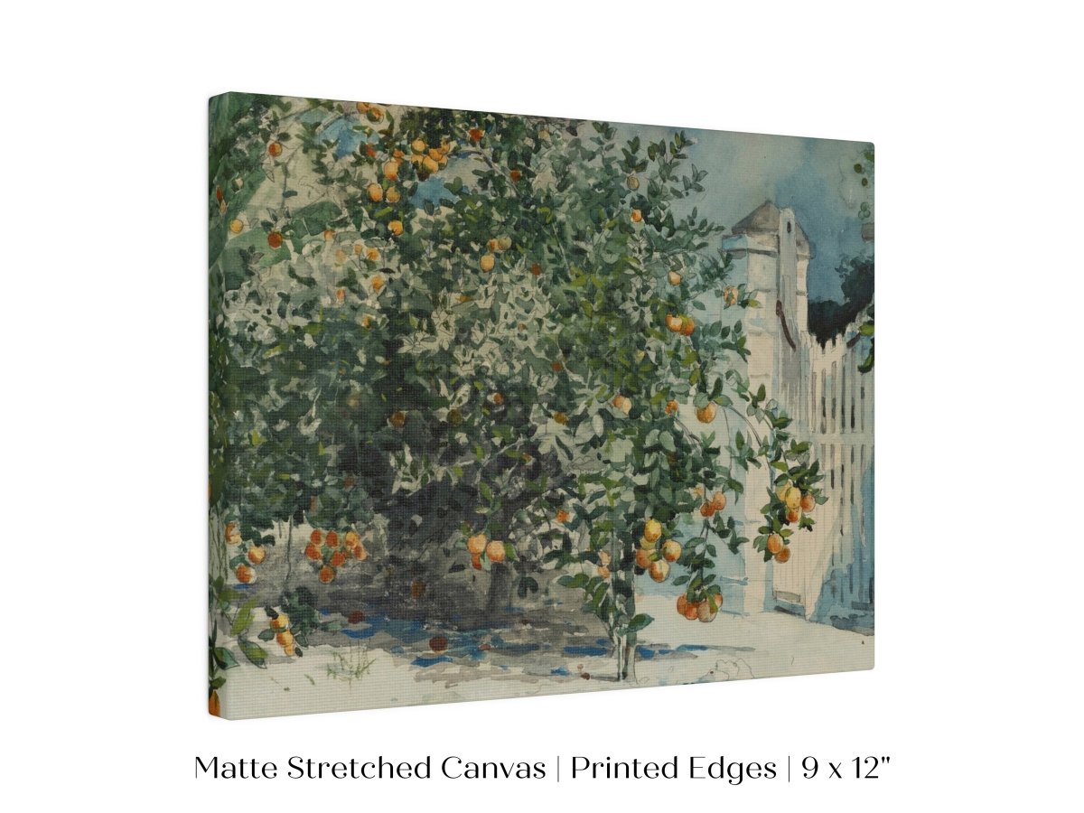 Orange Trees and Gate | P441 - Single Art Prints - Piccolo Fiore Prints