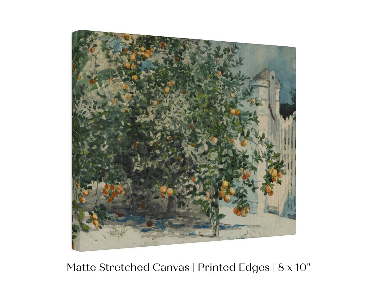 Orange Trees and Gate | P441 - Single Art Prints - Piccolo Fiore Prints
