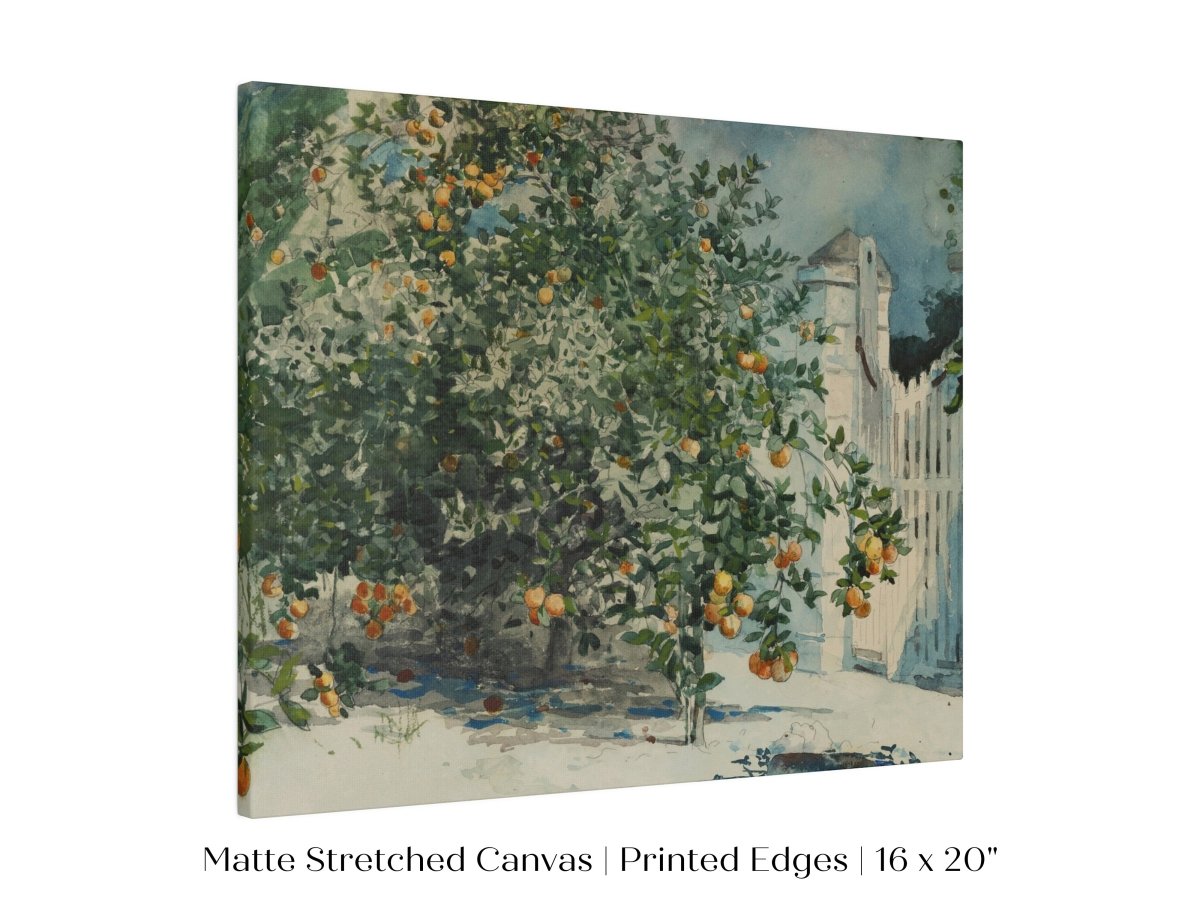 Orange Trees and Gate | P441 - Single Art Prints - Piccolo Fiore Prints