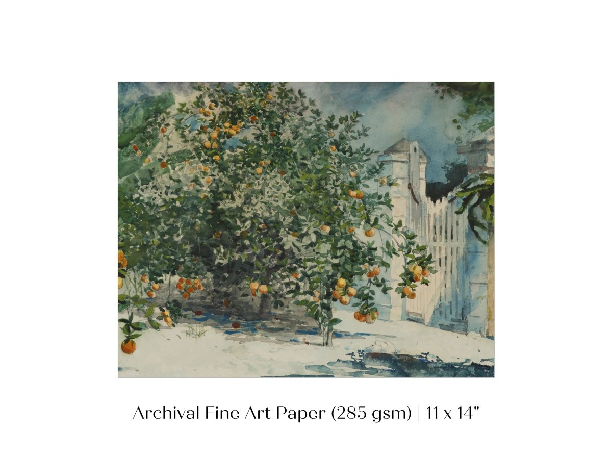 Orange Trees and Gate | P441 - Single Art Prints - Piccolo Fiore Prints