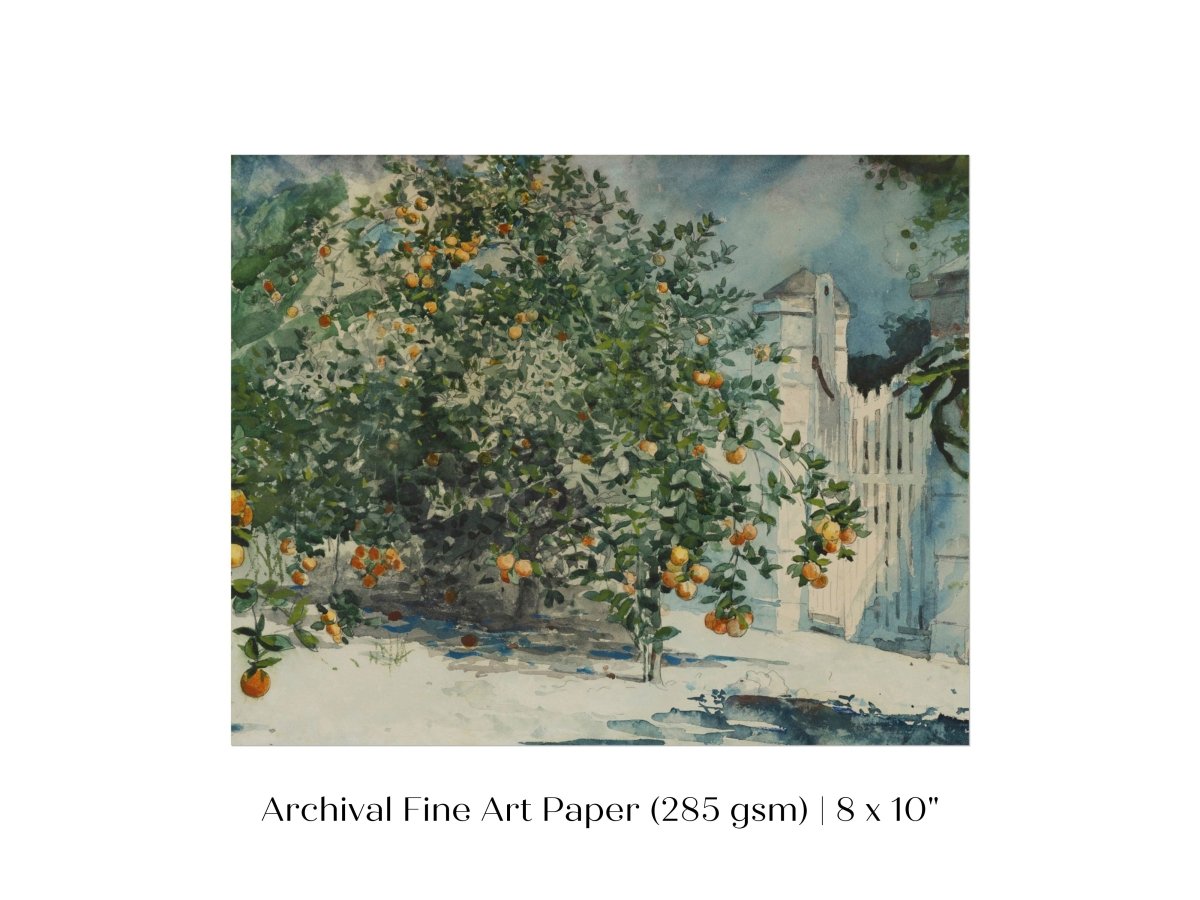 Orange Trees and Gate | P441 - Single Art Prints - Piccolo Fiore Prints