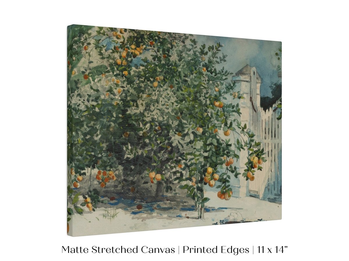 Orange Trees and Gate | P441 - Single Art Prints - Piccolo Fiore Prints