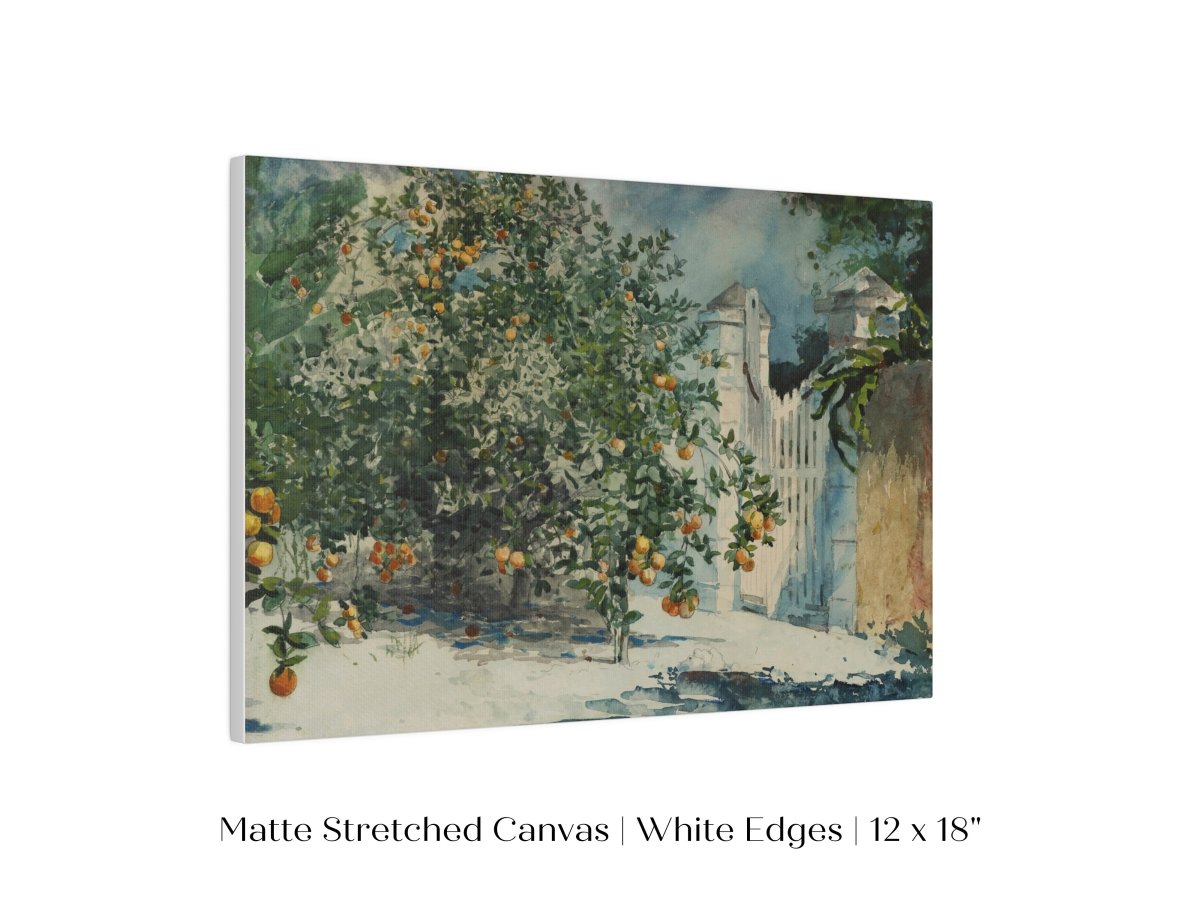 Orange Trees and Gate | P441 - Single Art Prints - Piccolo Fiore Prints