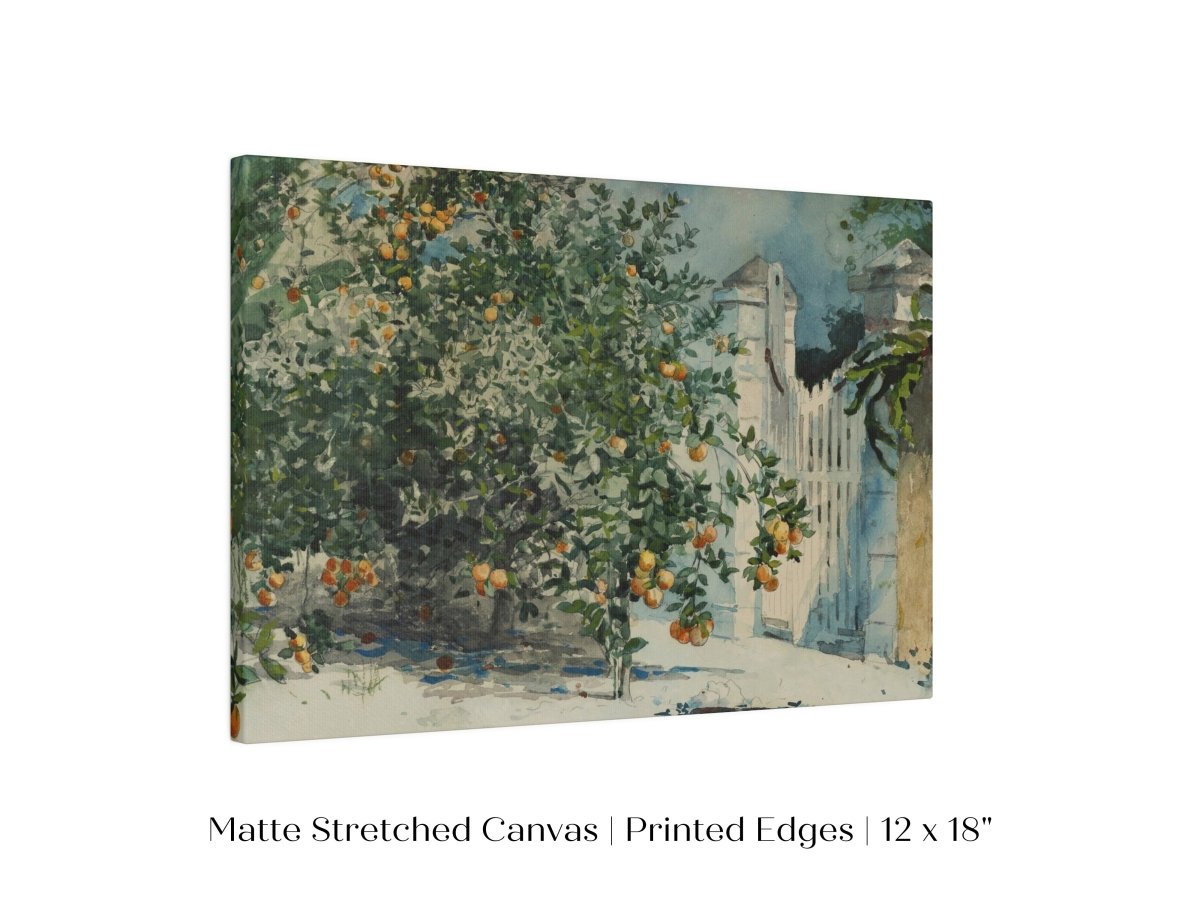 Orange Trees and Gate | P441 - Single Art Prints - Piccolo Fiore Prints