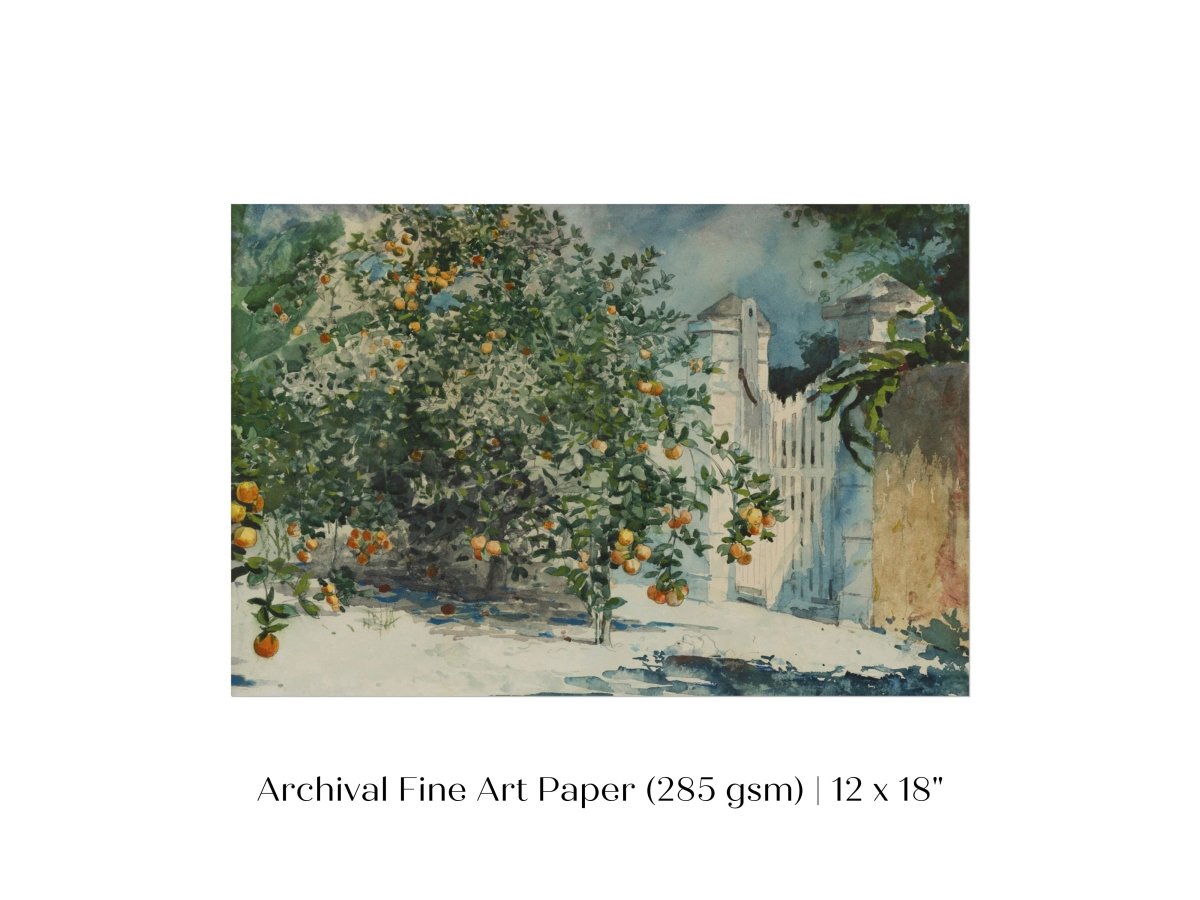 Orange Trees and Gate | P441 - Single Art Prints - Piccolo Fiore Prints