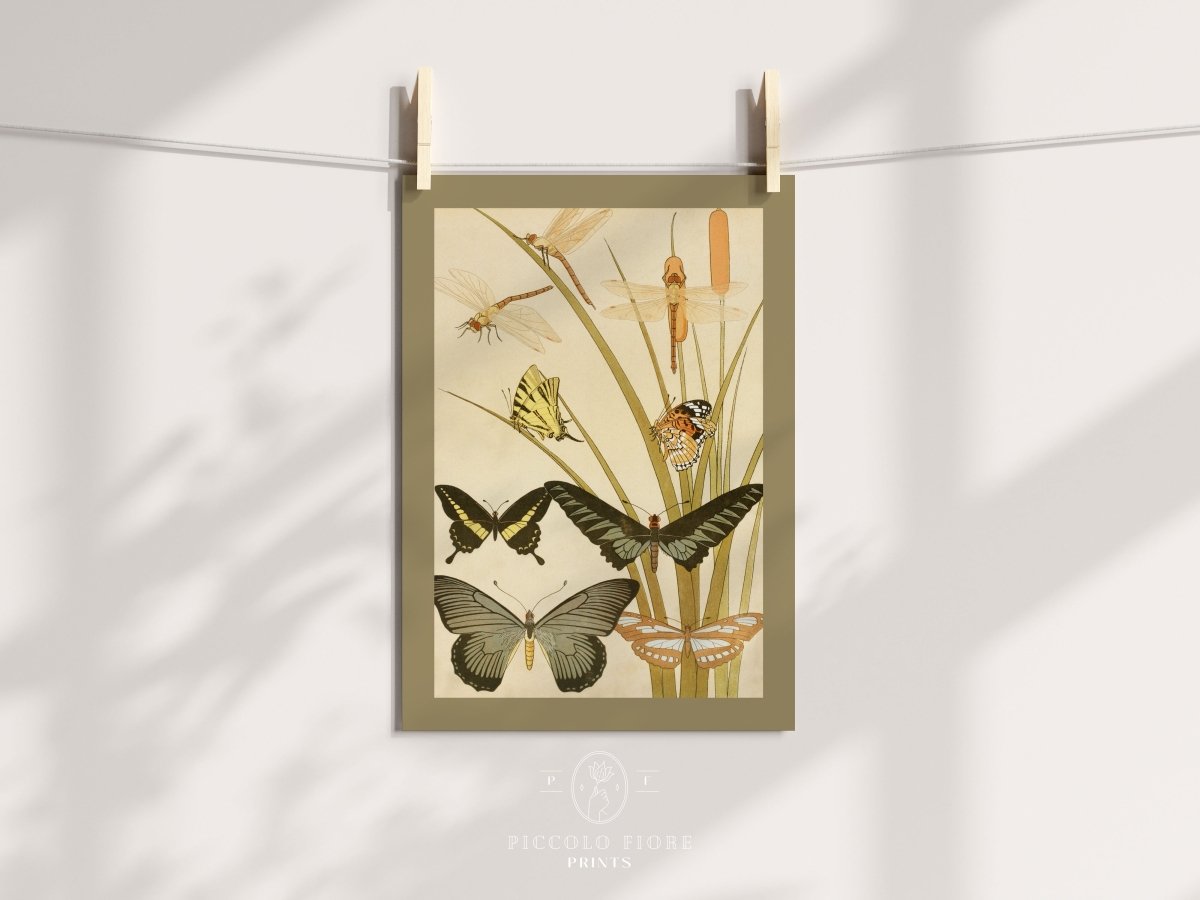 Papillons | P251 - Single Art Prints - Piccolo Fiore Prints