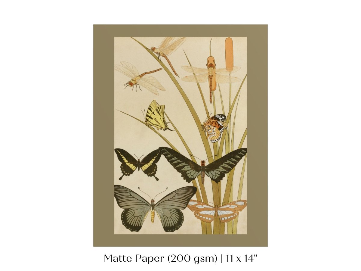 Papillons | P251 - Single Art Prints - Piccolo Fiore Prints