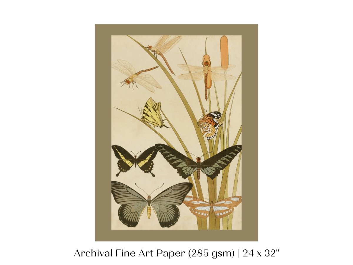 Papillons | P251 - Single Art Prints - Piccolo Fiore Prints