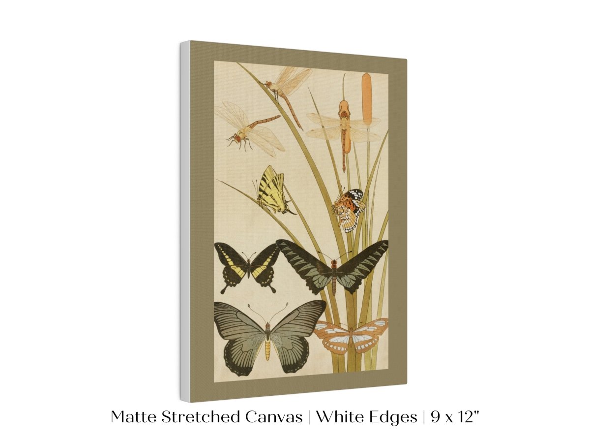 Papillons | P251 - Single Art Prints - Piccolo Fiore Prints