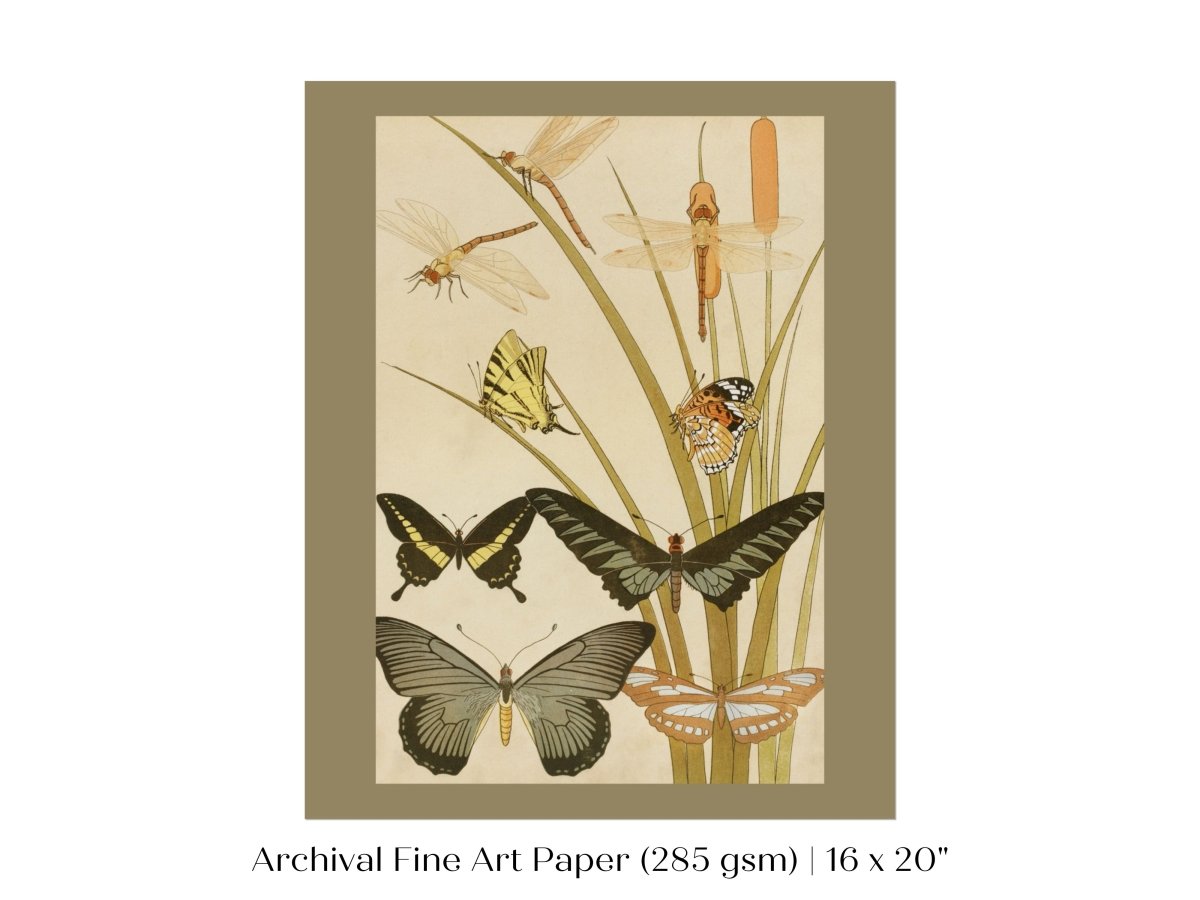 Papillons | P251 - Single Art Prints - Piccolo Fiore Prints