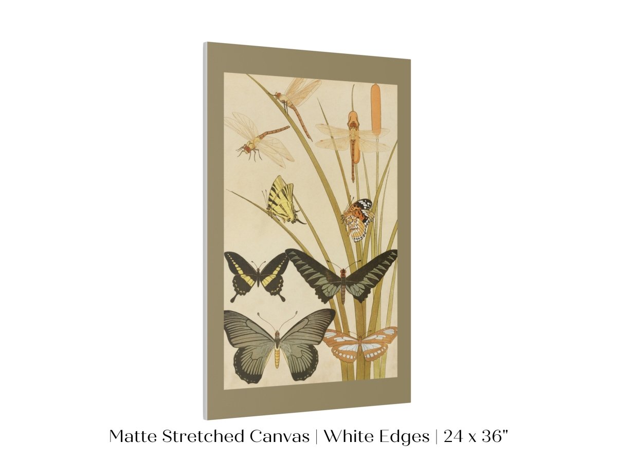 Papillons | P251 - Single Art Prints - Piccolo Fiore Prints