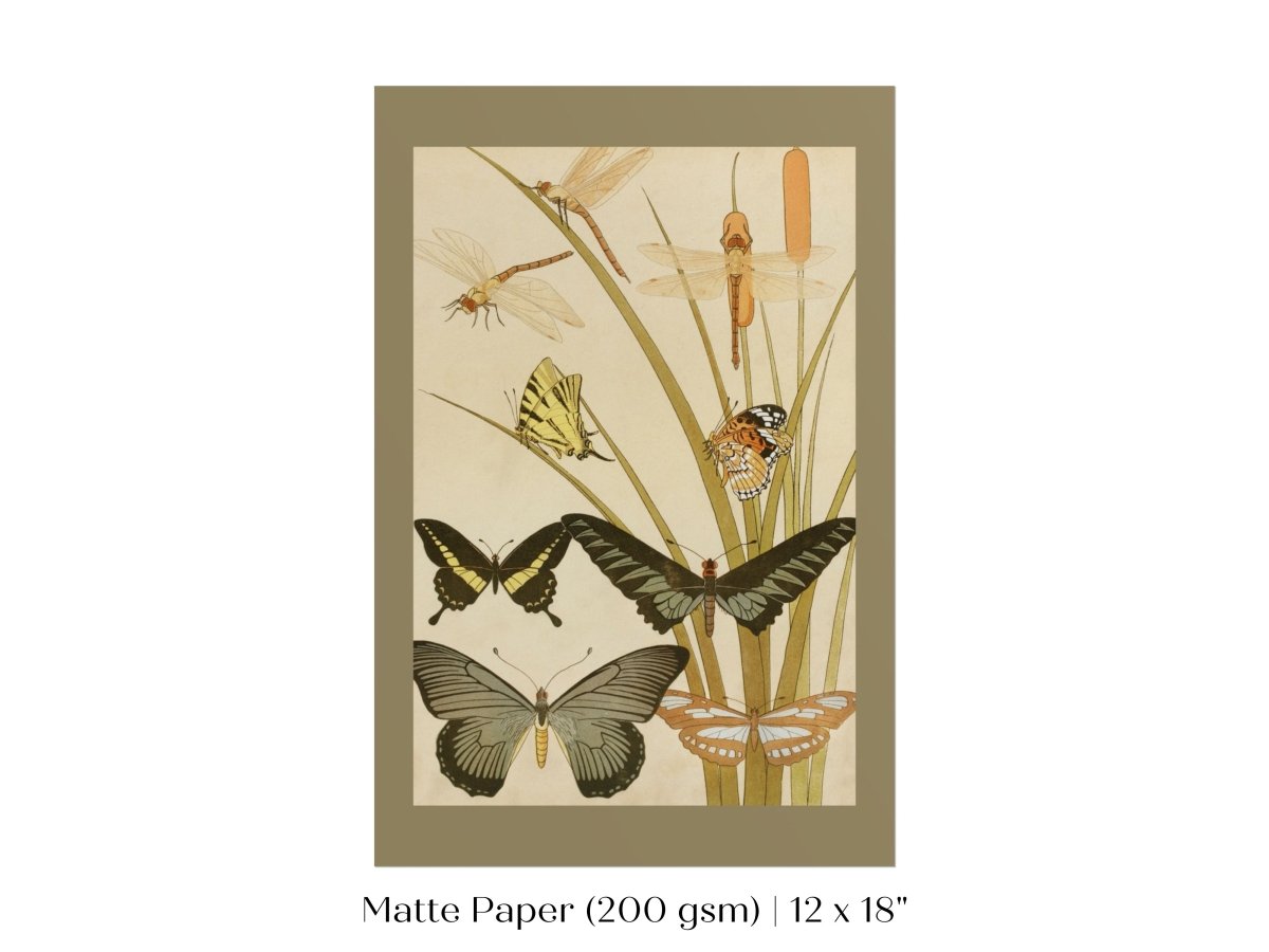 Papillons | P251 - Single Art Prints - Piccolo Fiore Prints