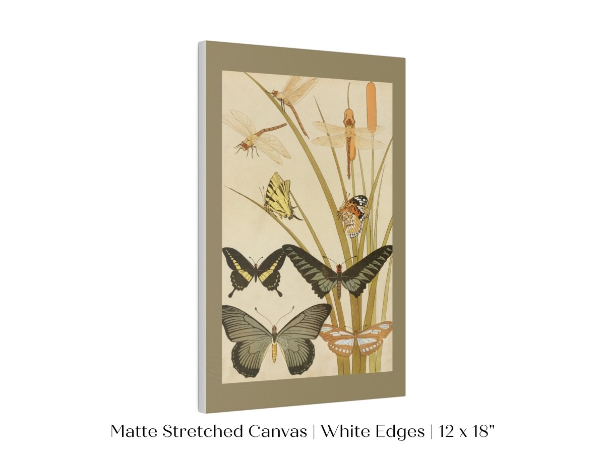 Papillons | P251 - Single Art Prints - Piccolo Fiore Prints