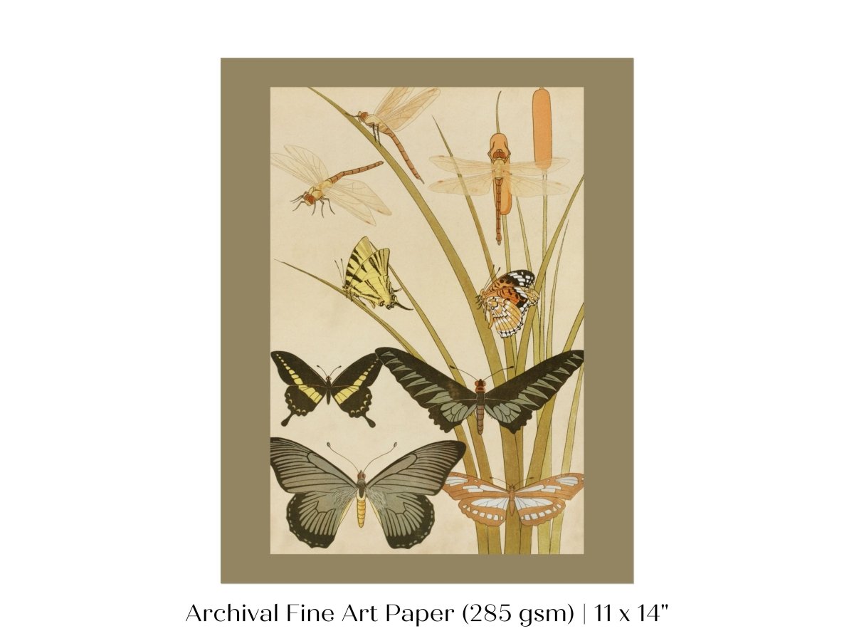 Papillons | P251 - Single Art Prints - Piccolo Fiore Prints
