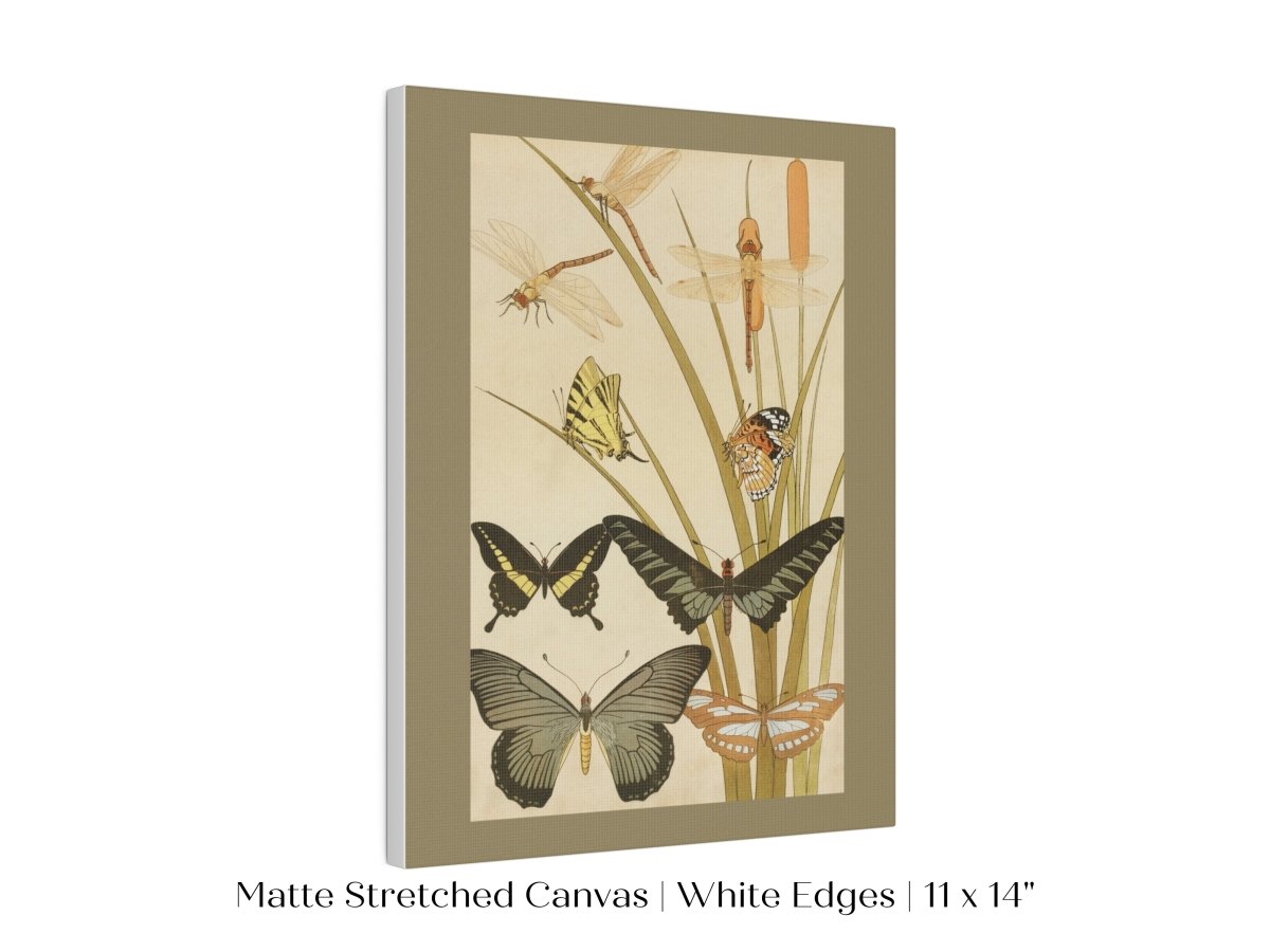 Papillons | P251 - Single Art Prints - Piccolo Fiore Prints