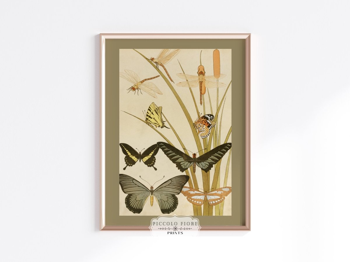 Papillons | P251 - Single Art Prints - Piccolo Fiore Prints