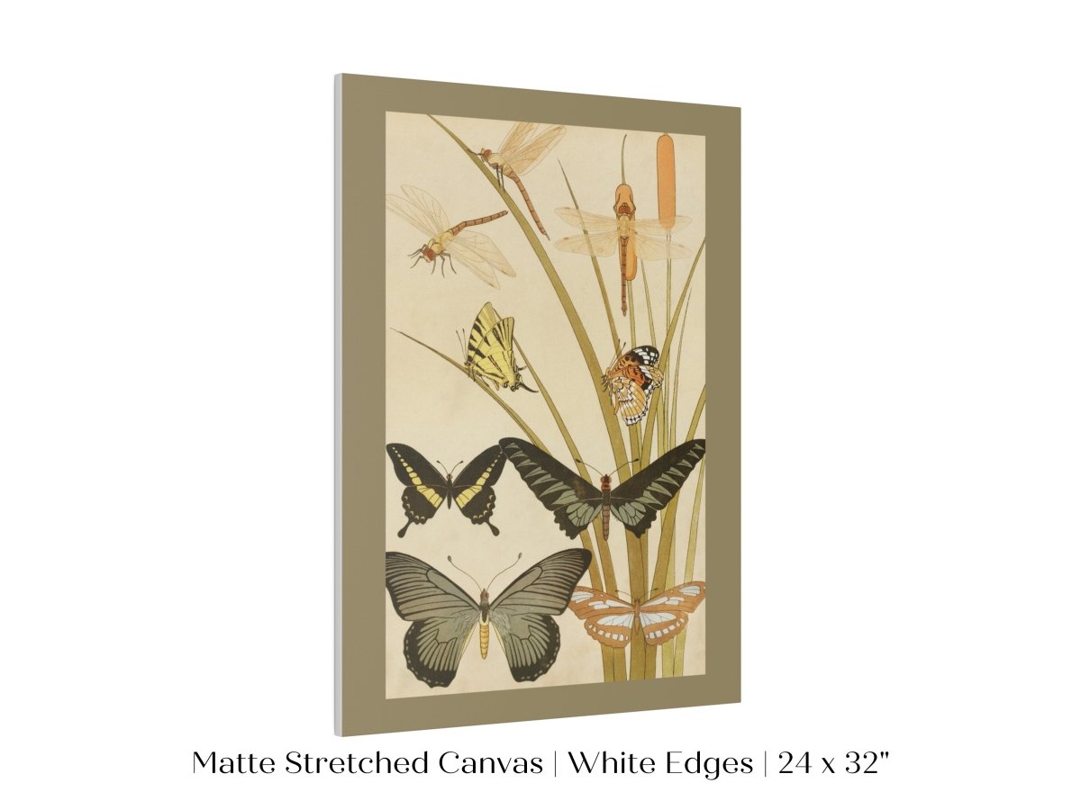 Papillons | P251 - Single Art Prints - Piccolo Fiore Prints