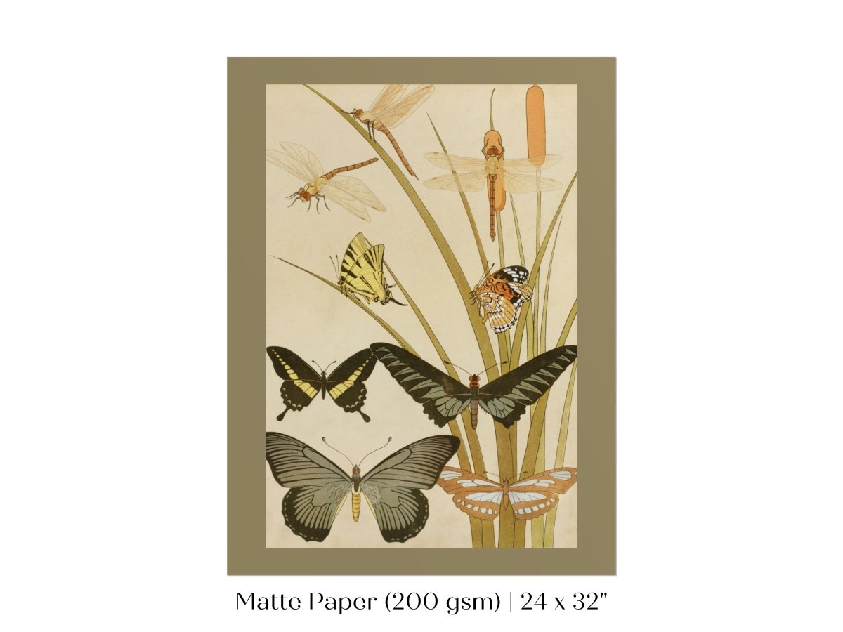 Papillons | P251 - Single Art Prints - Piccolo Fiore Prints
