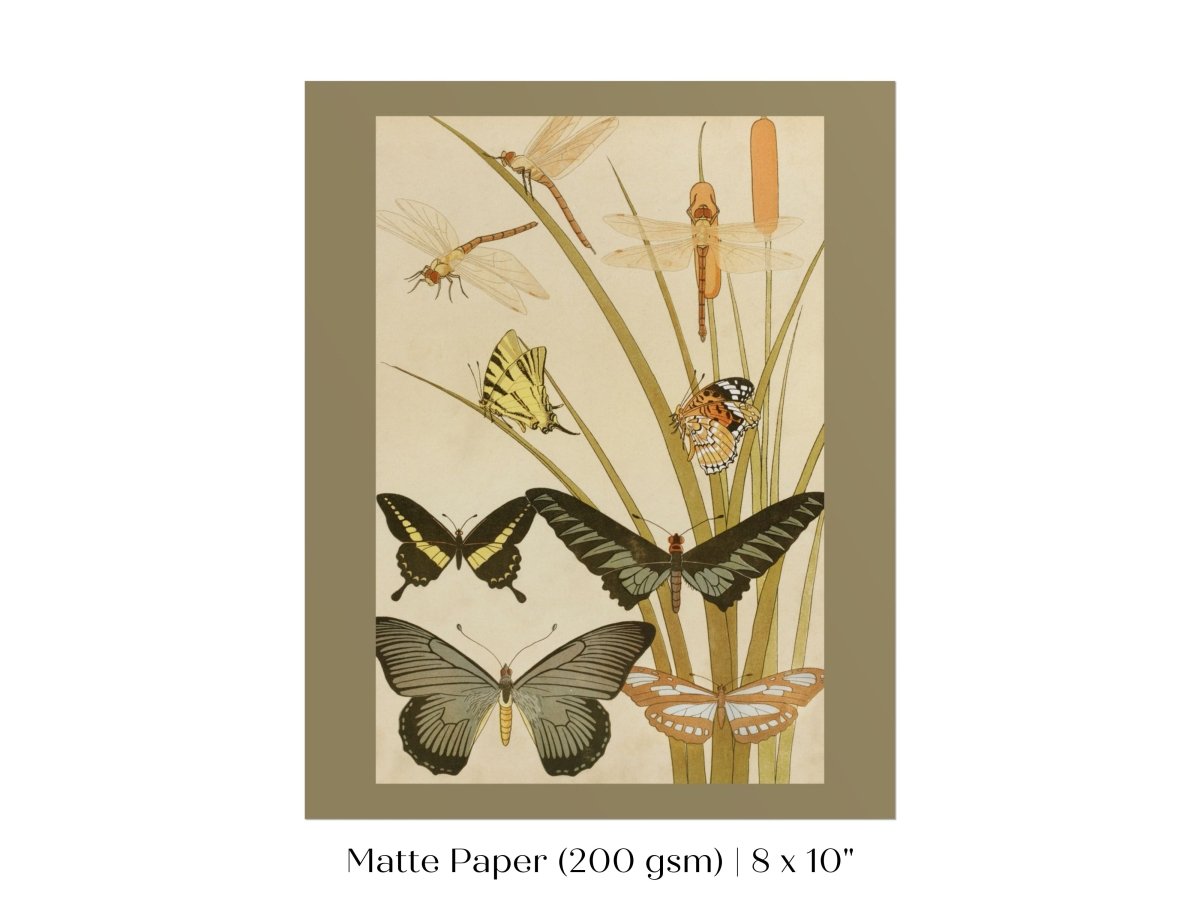 Papillons | P251 - Single Art Prints - Piccolo Fiore Prints