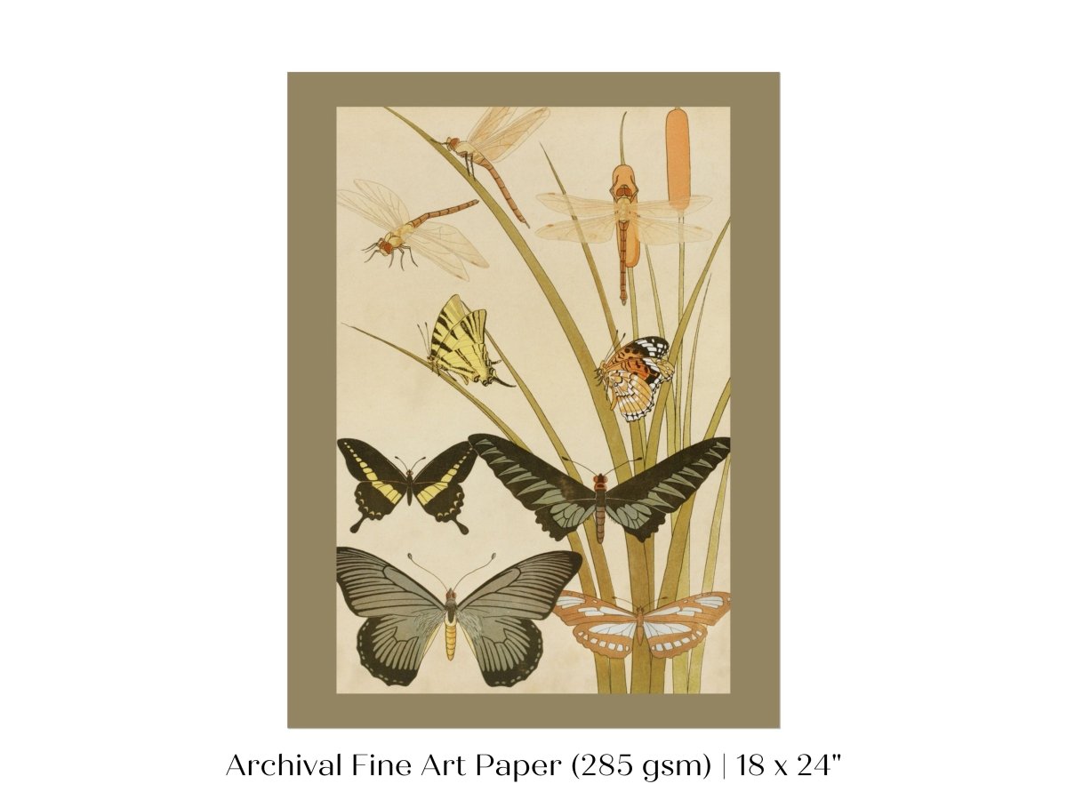 Papillons | P251 - Single Art Prints - Piccolo Fiore Prints