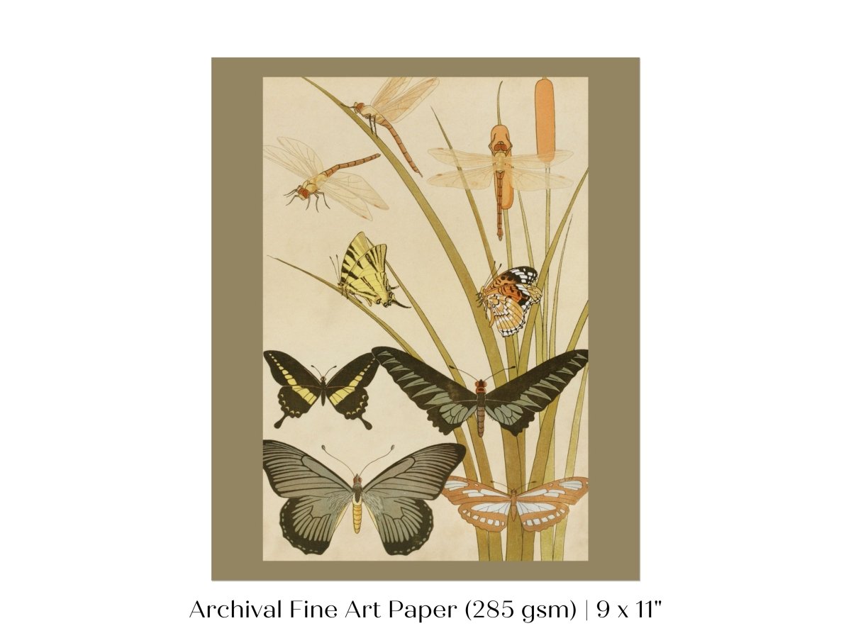 Papillons | P251 - Single Art Prints - Piccolo Fiore Prints