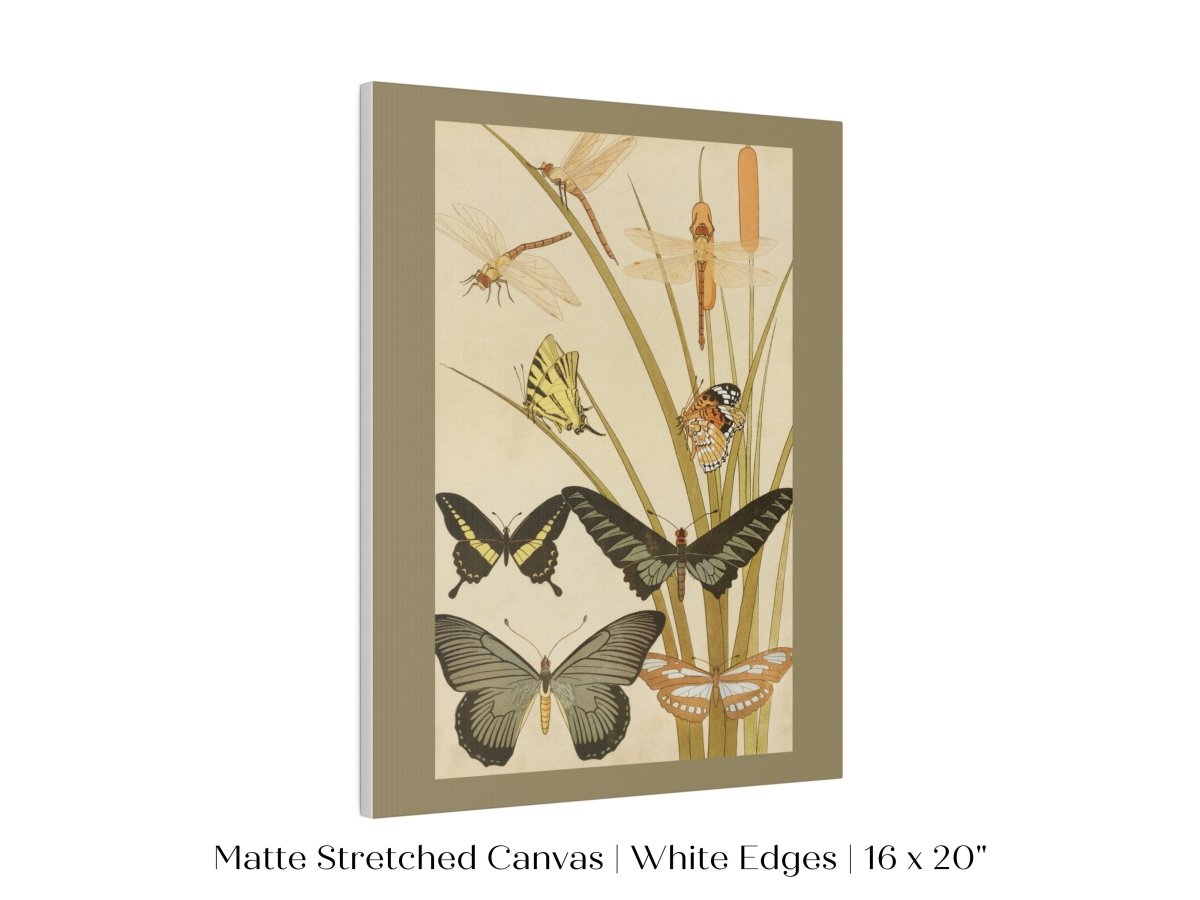 Papillons | P251 - Single Art Prints - Piccolo Fiore Prints