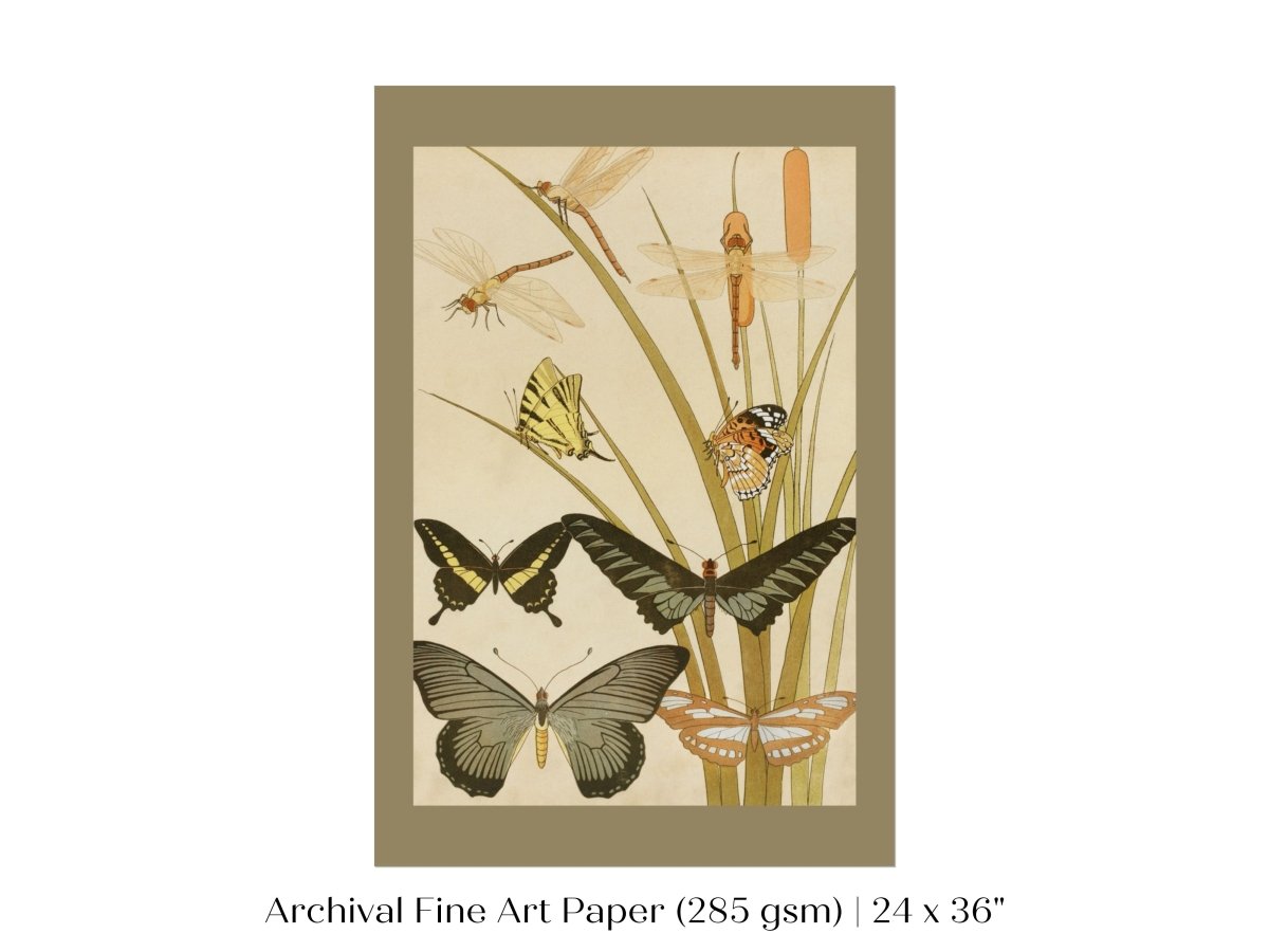Papillons | P251 - Single Art Prints - Piccolo Fiore Prints