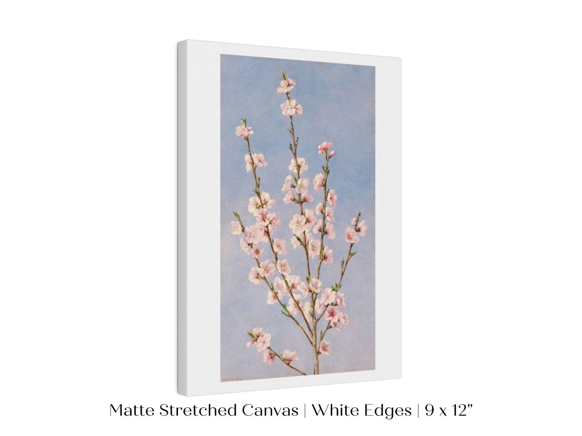 Peach Blossom | P24 - Single Art Prints - Piccolo Fiore Prints