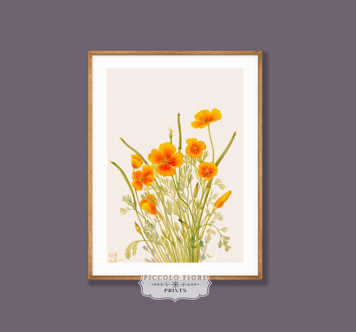 Peach, Pink and Green Eclectic | Gallery Wall Sets | 6 Prints | S11 - 4.9 - Gallery Wall Set - Piccolo Fiore Prints