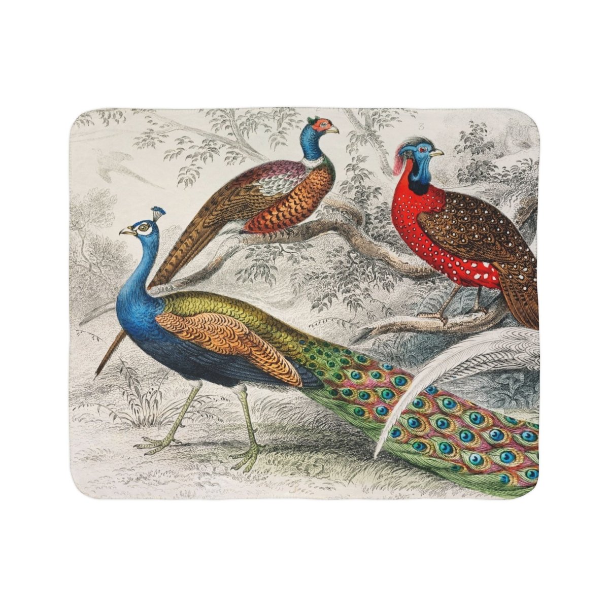 Peacock Parade | Fleece Sherpa Blanket - Sherpa Fleece Blanket - Piccolo Fiore Prints