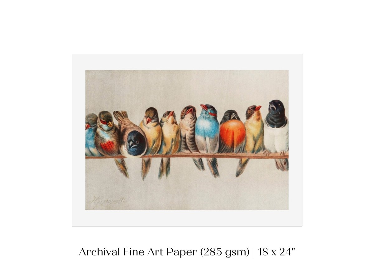Perch of Small Birds | P30.1 - Single Art Prints - Piccolo Fiore Prints