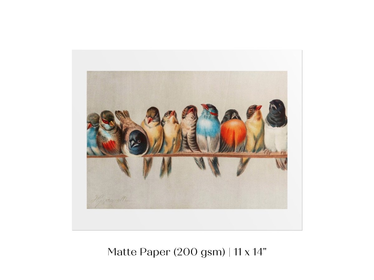 Perch of Small Birds | P30.1 - Single Art Prints - Piccolo Fiore Prints