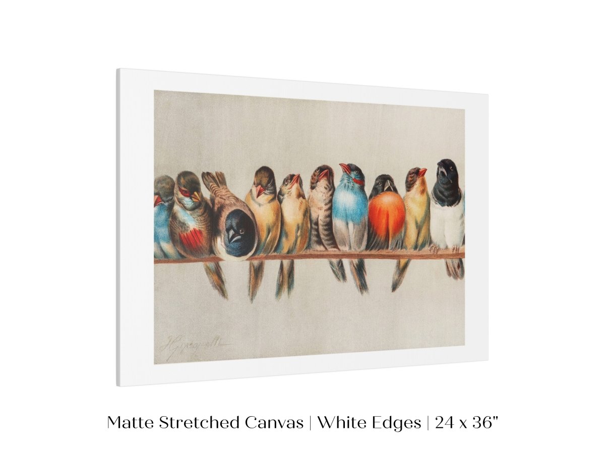 Perch of Small Birds | P30.1 - Single Art Prints - Piccolo Fiore Prints