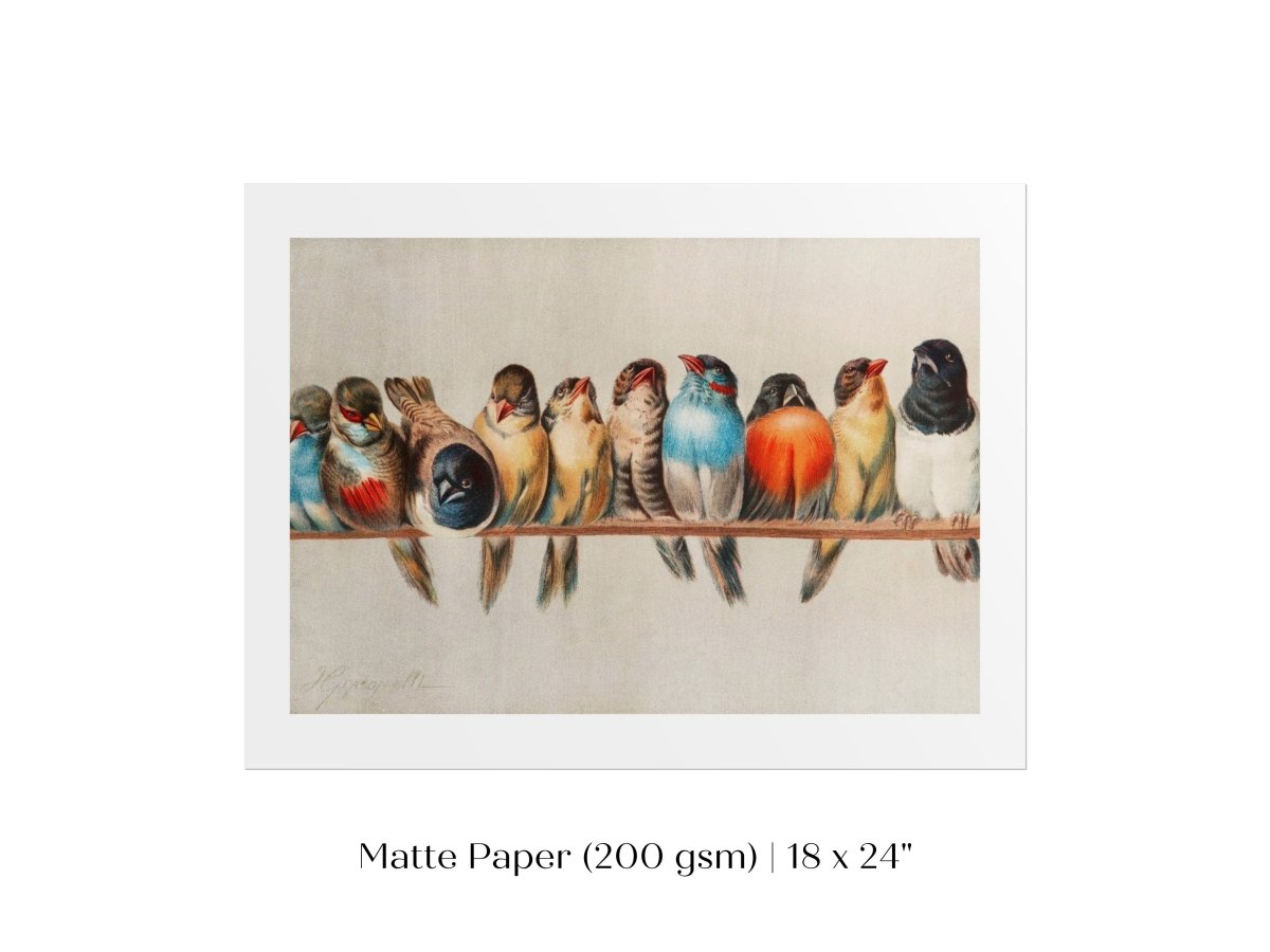 Perch of Small Birds | P30.1 - Single Art Prints - Piccolo Fiore Prints