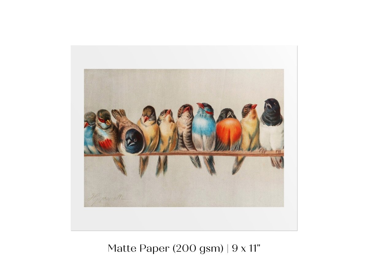 Perch of Small Birds | P30.1 - Single Art Prints - Piccolo Fiore Prints