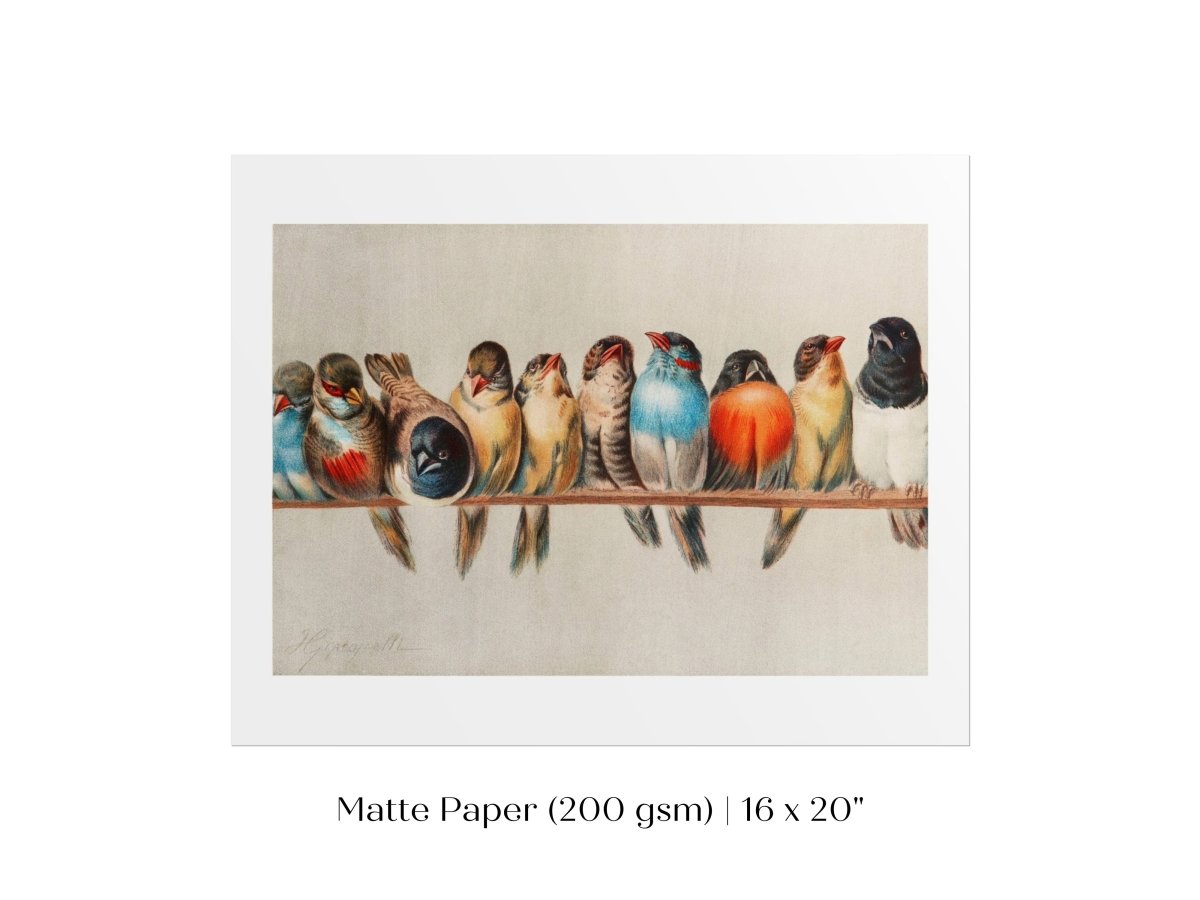 Perch of Small Birds | P30.1 - Single Art Prints - Piccolo Fiore Prints