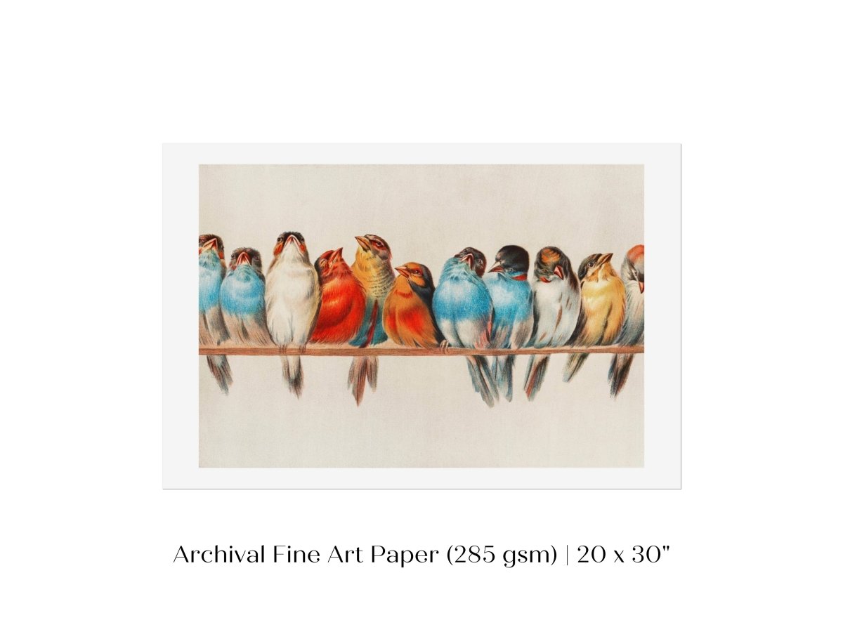 Perch of Small Birds | P30.2 - Single Art Prints - Piccolo Fiore Prints