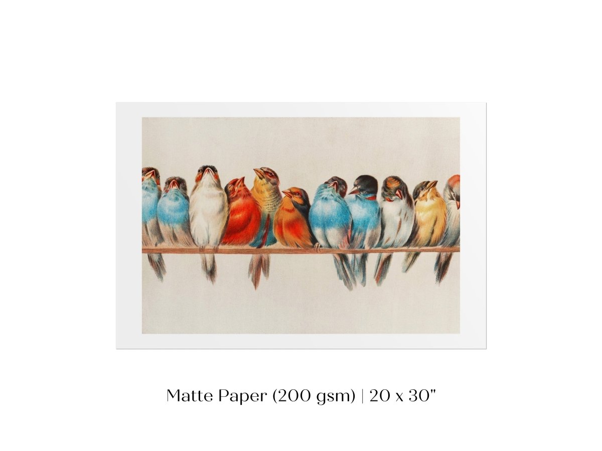 Perch of Small Birds | P30.2 - Single Art Prints - Piccolo Fiore Prints
