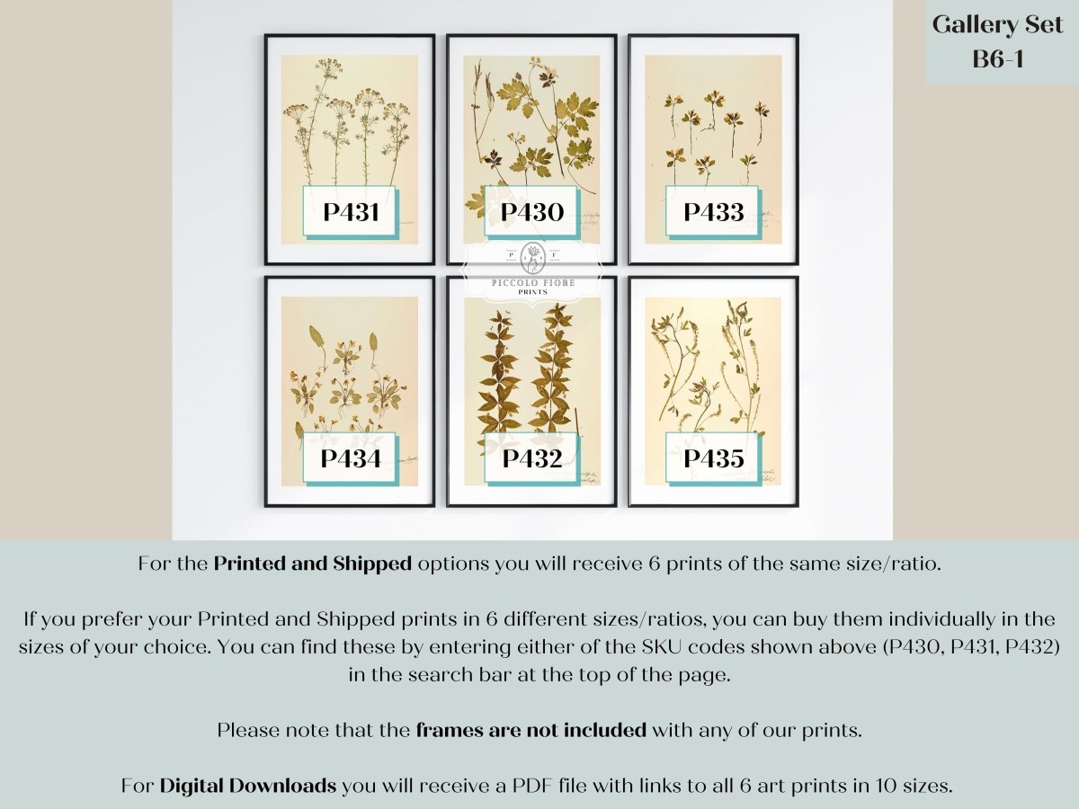 Pressed Flowers | Gallery Wall Set | 6 Prints | B6 - 1 - Gallery Wall Set - Piccolo Fiore Prints